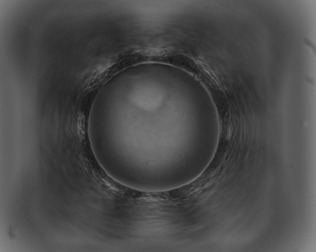 X0000093221301200709261624