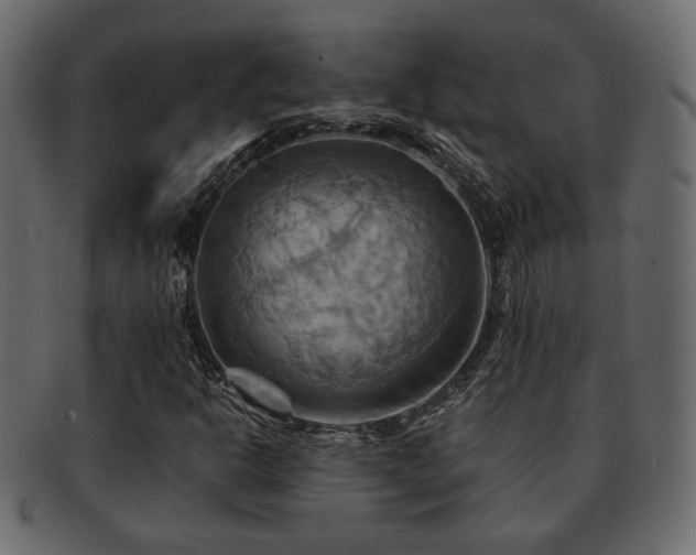 X0000093221302200709261624