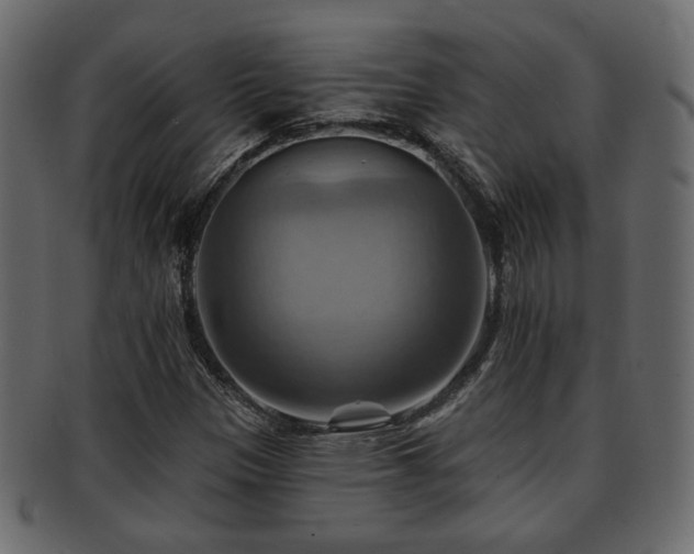 X0000093221305200709261624