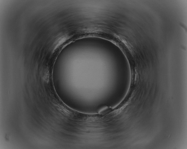 X0000093221306200709261624