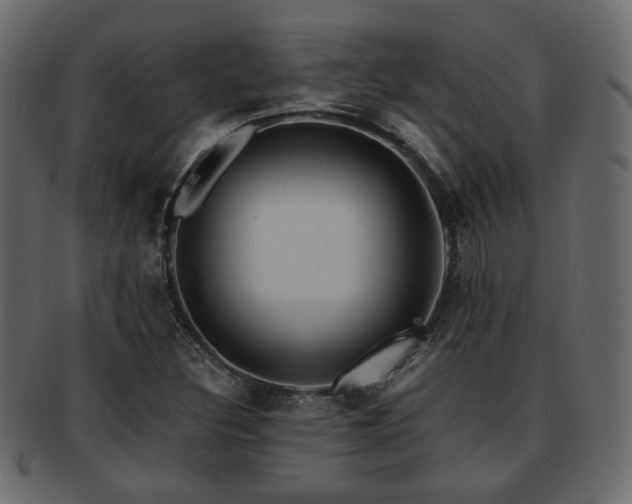 X0000093221308200709261624