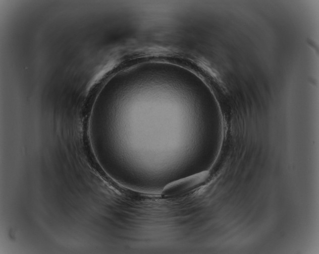 X0000093221309200709261624