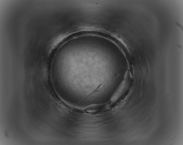 X0000093221311200709261624