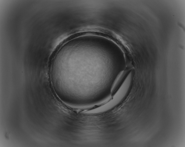 X0000093221312200709261624