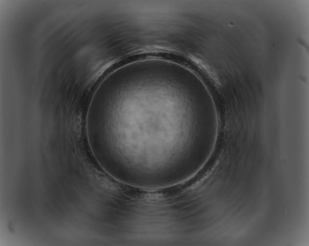 X0000093221313200709261624