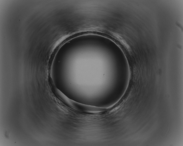X0000093221316200709261624