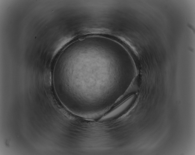 X0000093221317200709261624