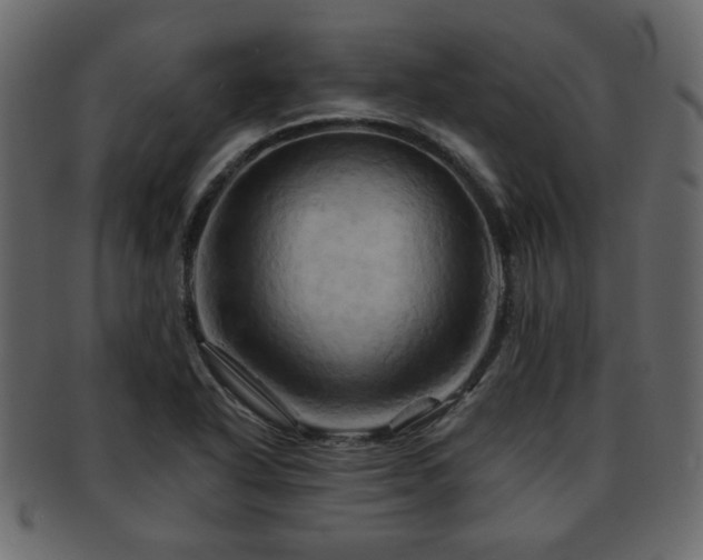 X0000093221318200709261624