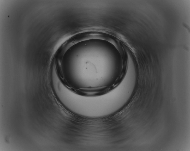 X0000093221320200709261624