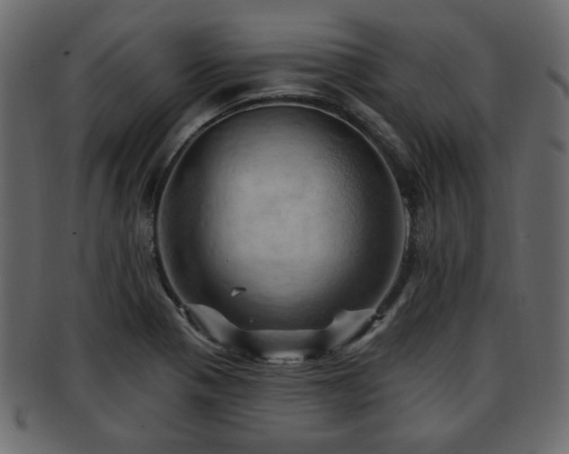 X0000093221321200709261624