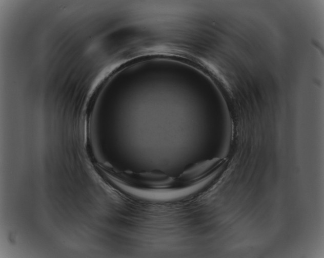X0000093221323200709261624