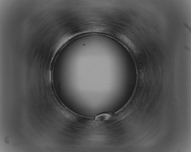 X0000093221324200709261624