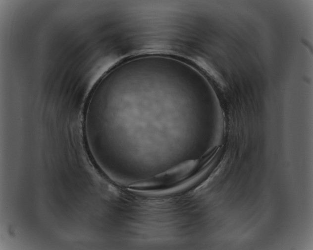 X0000093221325200709261624