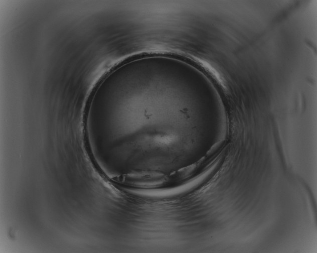 X0000093221327200709261624