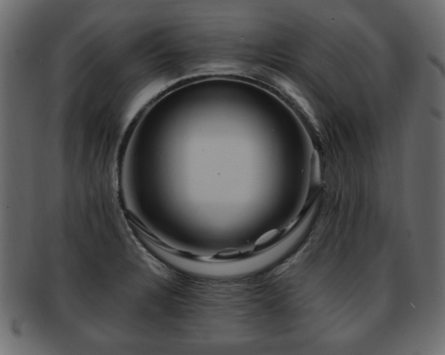 X0000093221328200709261624