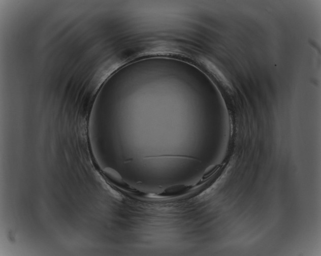 X0000093221329200709261624