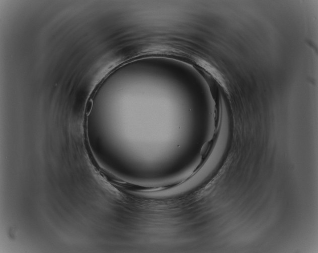 X0000093221330200709261624