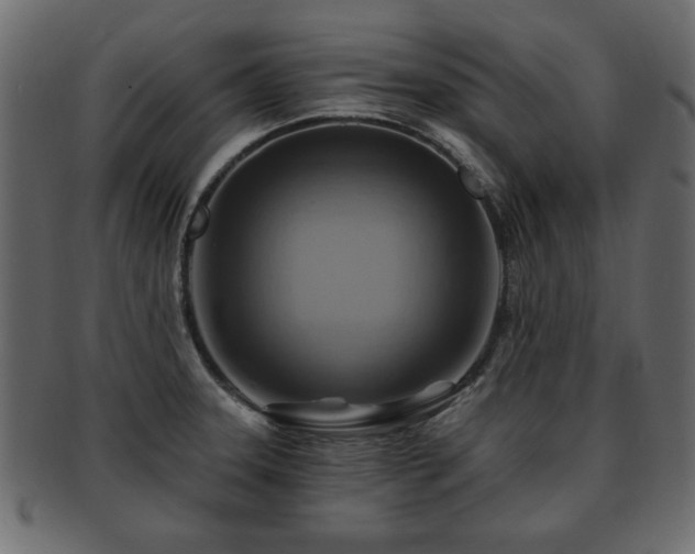 X0000093221331200709261624