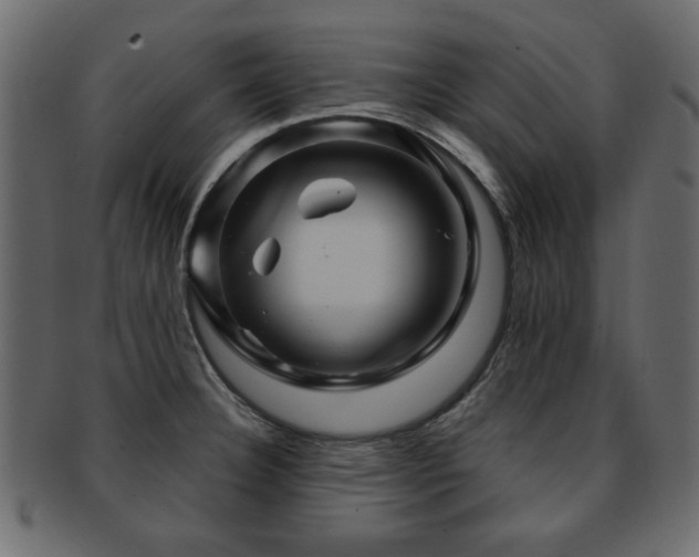 X0000093221332200709261624