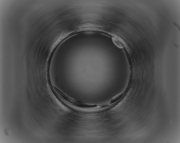 X0000093221333200709261624