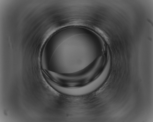 X0000093221334200709261624