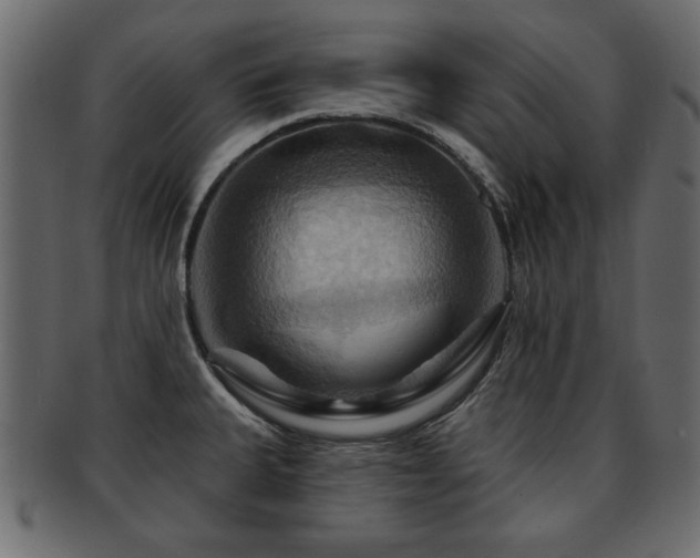 X0000093221335200709261624
