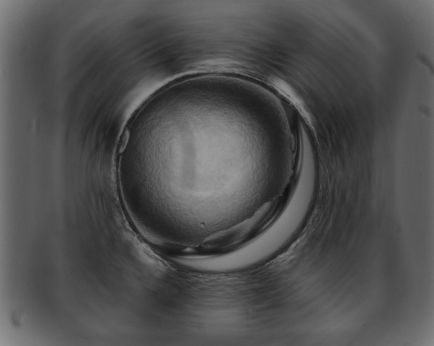 X0000093221336200709261624