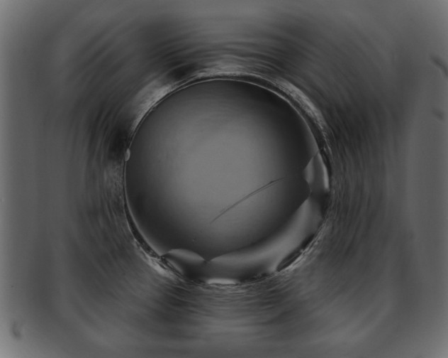X0000093221337200709261624