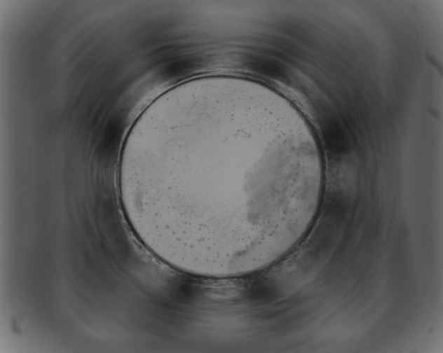X0000093221338200709261624