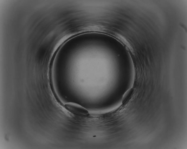 X0000093221339200709261624