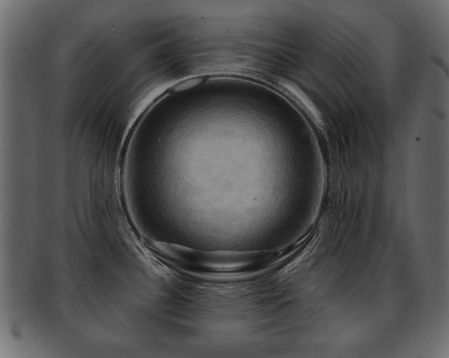 X0000093221340200709261624