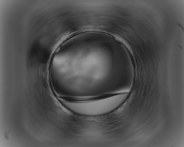 X0000093221341200709261624