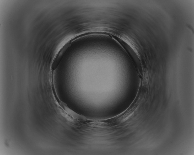 X0000093221342200709261624