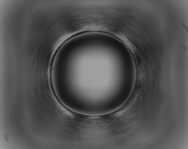 X0000093221343200709261624