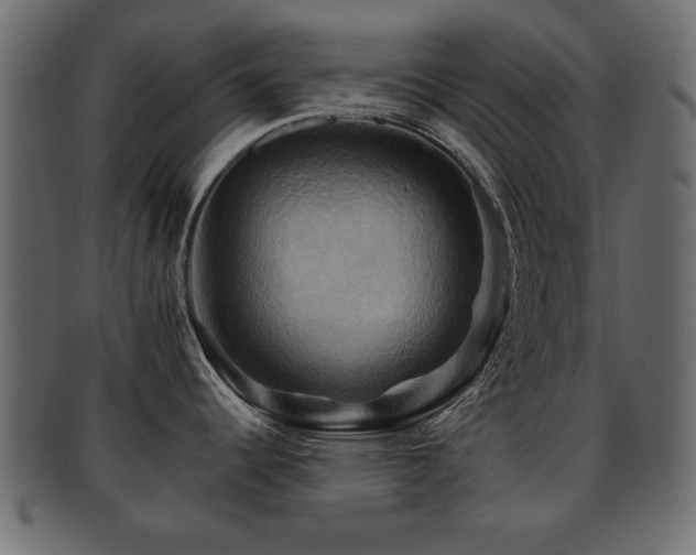X0000093221344200709261624