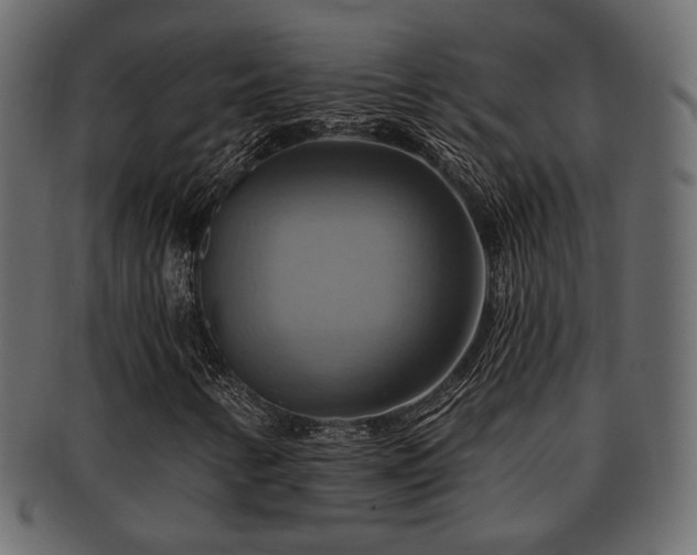 X0000093221346200709261623