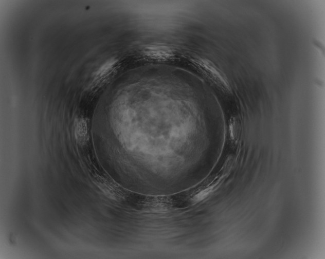 X0000093221347200709261623