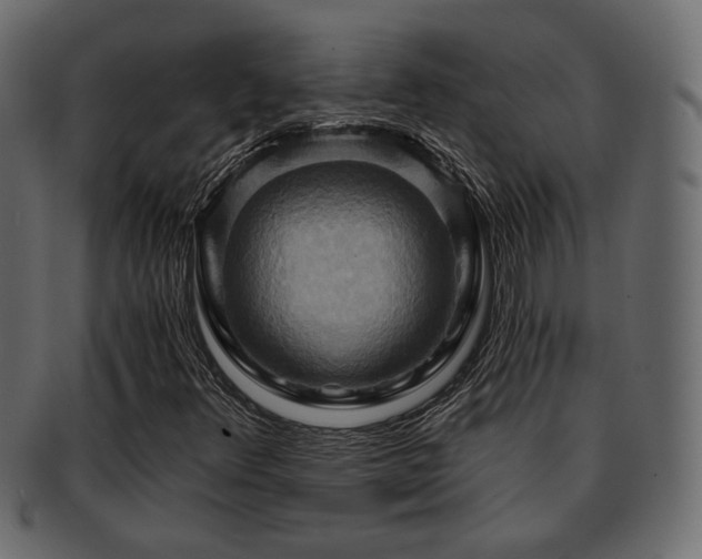 X0000093221348200709261623