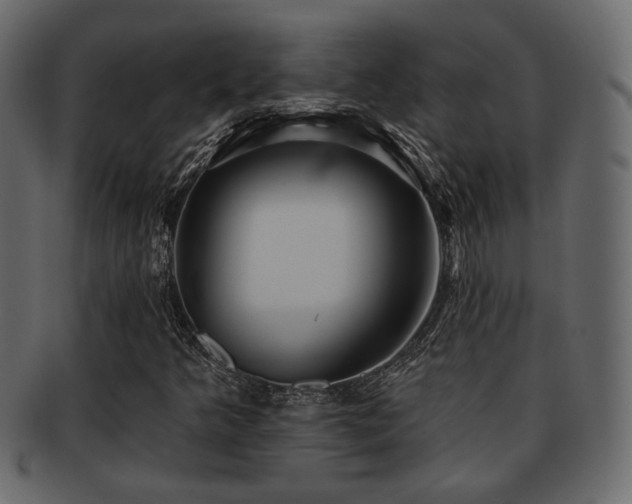 X0000093221349200709261623