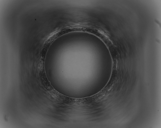 X0000093221350200709261623