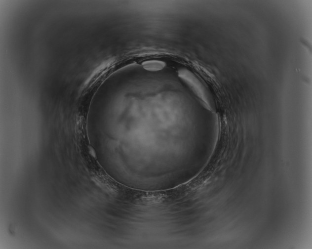 X0000093221351200709261623