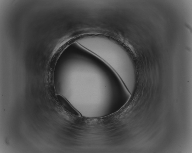 X0000093221352200709261623
