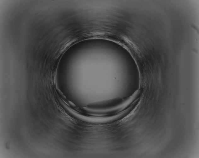 X0000093221353200709261623
