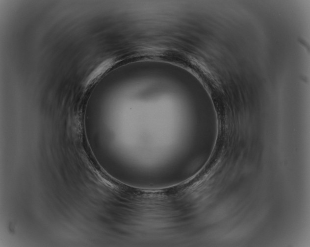 X0000093221354200709261623