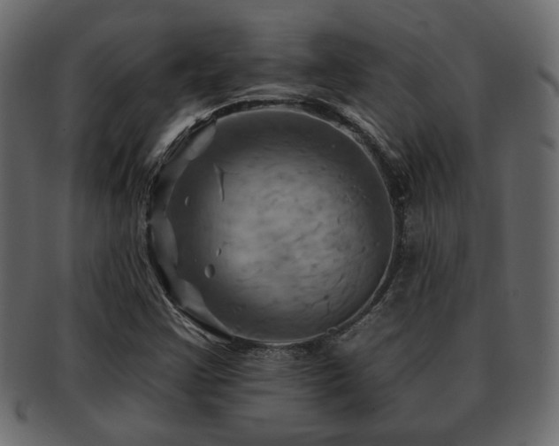 X0000093221355200709261623