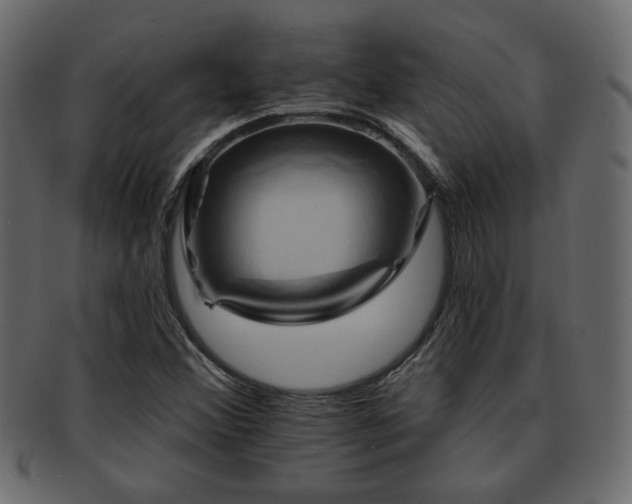 X0000093221356200709261623