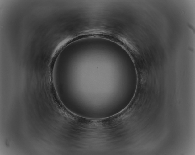 X0000093221358200709261623