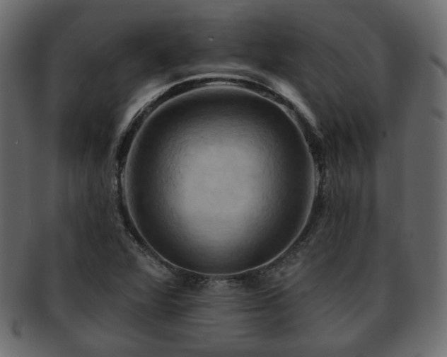 X0000093221360200709261623