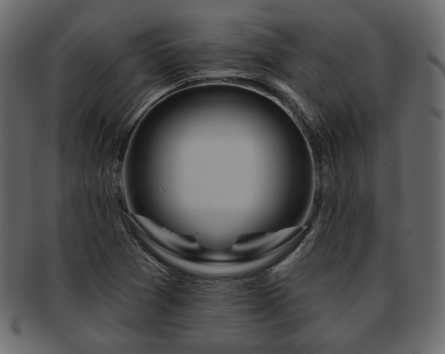 X0000093221361200709261623
