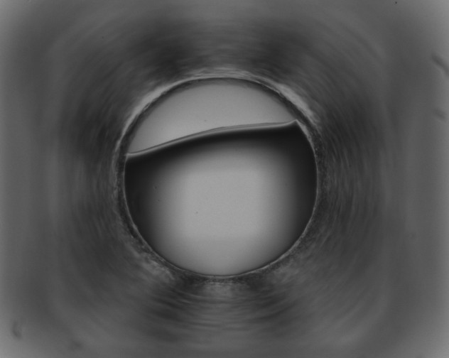 X0000093221364200709261623